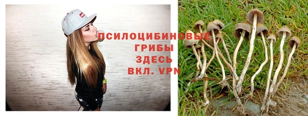 бошки Костерёво