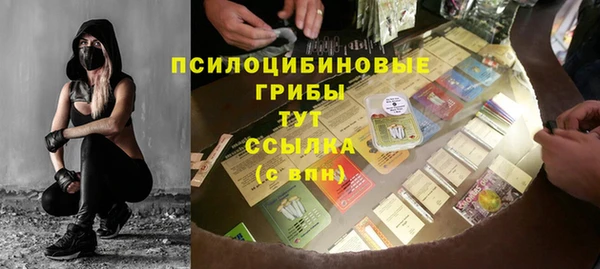 дмт Корсаков