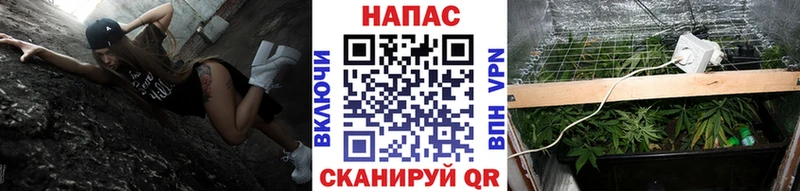 МАРИХУАНА тримм  Купить  Донской 